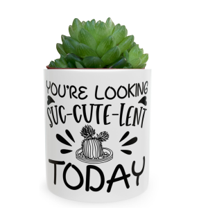 Gift For Plant Lovers | Personalised Mug With Succulents